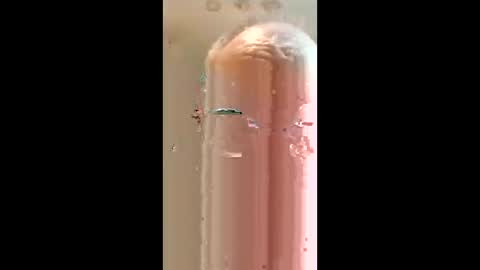 Rickyrocket online show from March 26, 3:01 am