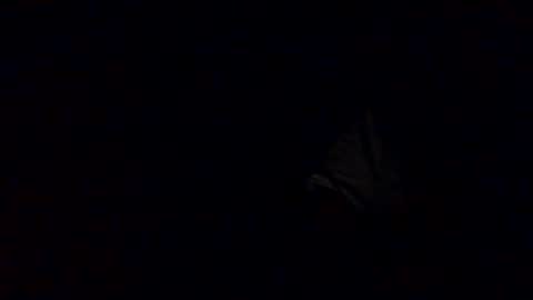 Snapshot of richardsone1 chatting on October 12, 3:27 am Babu online show from October 12, 3:27 am