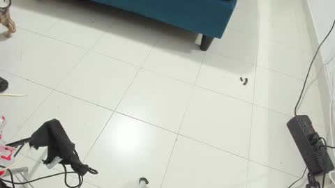 Snapshot of rihanna_hotx chatting on November 12, 2:56 am Rihanna hotx online show from November 12, 2:56 am