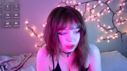 Sofia online show from February 28, 8:26 am