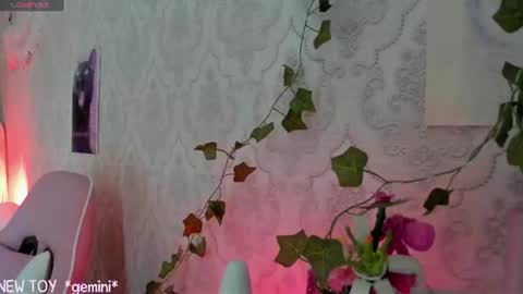 My name is Riley Like my broadcast pls 3 online show from July 26, 7:26 am