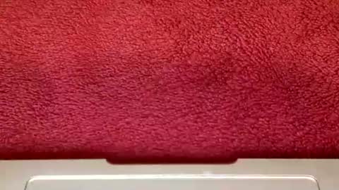 rimalova online show from October 25, 6:32 am