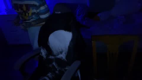   DianaBrite            fansl y online show from December 17, 7:48 pm