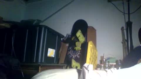 ripperusa33 online show from December 15, 4:50 am