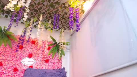 Risitos De Oro online show from April 22, 2:14 am