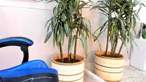 Snapshot of roan_birkin chatting on July 17, 7:19 pm Roan Birkin online show from July 17, 7:19 pm