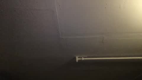 Snapshot of roastingcorn chatting on December 6, 11:11 am RoastingCorn online show from December 6, 11:11 am