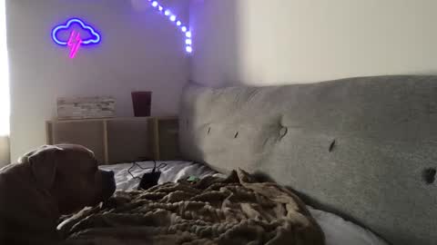 Snapshot of roastingcorn chatting on January 3, 10:29 pm RoastingCorn online show from January 3, 10:29 pm