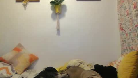 Snapshot of roastingcorn chatting on March 11, 3:59 am RoastingCorn online show from March 11, 3:59 am