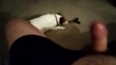 robbiebob6828 online show from November 27, 6:04 am