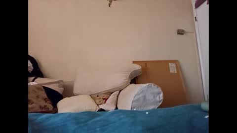 Snapshot of robertgodden0 chatting on February 9, 2:10 pm Dominiquexd online show from February 9, 2:10 pm