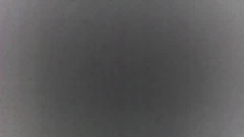 Snapshot of roberttocumcum chatting on February 19, 9:11 pm roberttocumcum online show from February 19, 9:11 pm