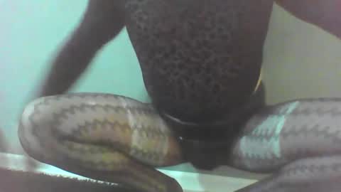 Snapshot of roberttocumcum chatting on February 23, 12:30 am roberttocumcum online show from February 23, 12:30 am