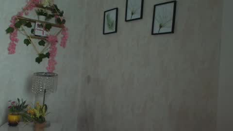 robin D online show from February 2, 1:10 pm