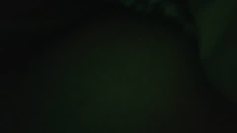 rocce4147 online show from August 7, 4:58 am