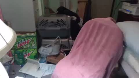 Snapshot of rocky082288 chatting on November 25, 10:26 am rocky082288 online show from November 25, 10:26 am