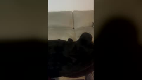 rogerbenid81 online show from April 19, 11:07 pm