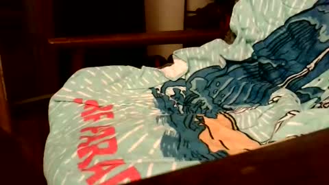 rogerrush online show from November 15, 10:56 am