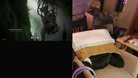 Snapshot of roknblaze chatting on November 30, 2:59 am Rok-N-Blaze online show from November 30, 2:59 am