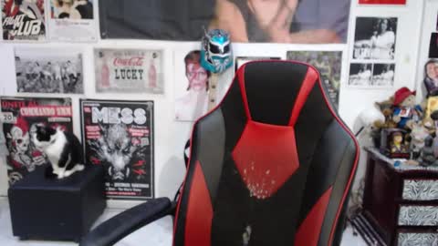 Rolly online show from December 2, 10:16 pm