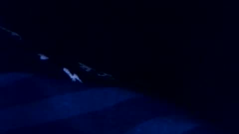 romain online show from March 3, 8:48 pm