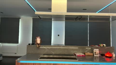 Ketlyn  is here now  help me get 50 thumbs up pls  online show from April 2, 10:35 am