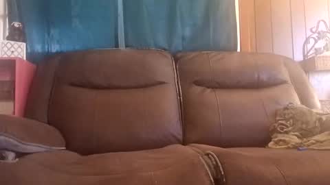 Snapshot of rooster14962831080 chatting on December 15, 4:44 pm rooster14962831080 online show from December 15, 4:44 pm