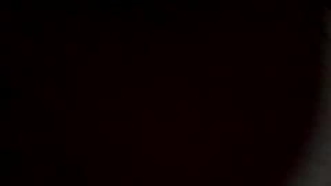 rooster2024 online show from March 3, 12:55 pm