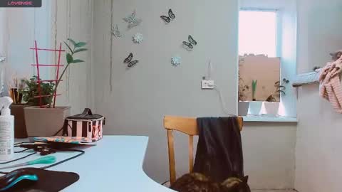 Snapshot of rosa843850 chatting on February 2, 2:13 pm rosa843850 online show from February 2, 2:13 pm