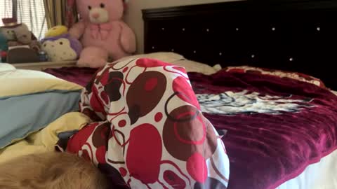 Snapshot of rose69904260 chatting on July 30, 7:13 pm Rose and Jacks Pay Room online show from July 30, 7:13 pm