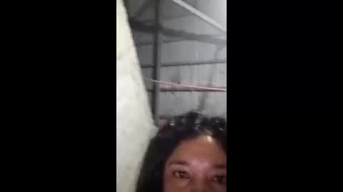 Snapshot of rose_marie2025 chatting on February 5, 3:49 pm rose_marie2025 online show from February 5, 3:49 pm