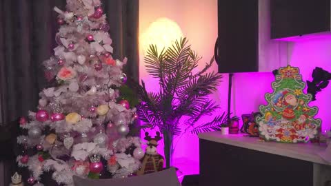 Amii online show from December 25, 11:10 pm