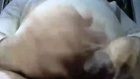 ruggy35 online show from December 7, 7:38 am