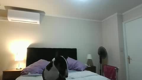 Snapshot of rulitos206 chatting on May 29, 2:53 am rulitos206 online show from May 29, 2:53 am