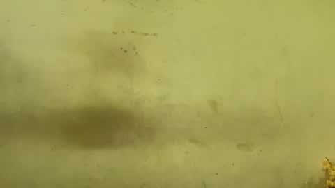 Rupali online show from December 20, 4:19 am