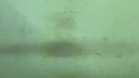 Rupali online show from December 21, 4:47 pm