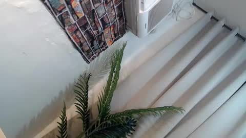 Snapshot of ryan_hyeson chatting on January 26, 6:27 pm Its me Ryan online show from January 26, 6:27 pm