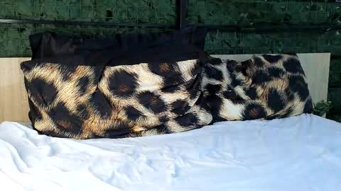 Snapshot of ryanstorm1 chatting on October 24, 10:28 pm ryanstorm1 online show from October 24, 10:28 pm