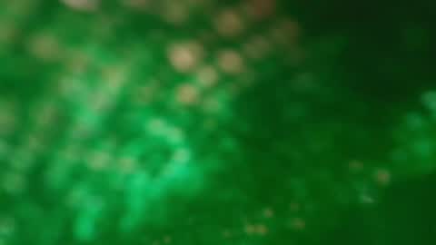 Snapshot of s_sofia_ chatting on January 25, 1:21 am s_sofia_ online show from January 25, 1:21 am