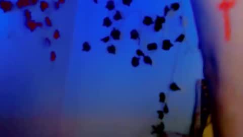 SABRI online show from March 11, 12:39 pm