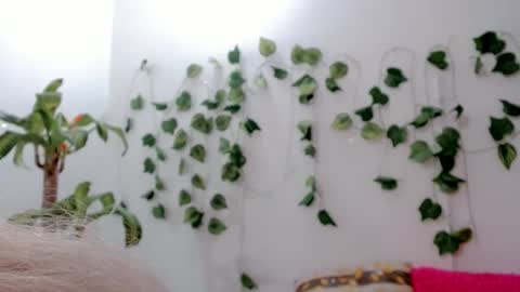 SABRI online show from September 25, 5:11 am