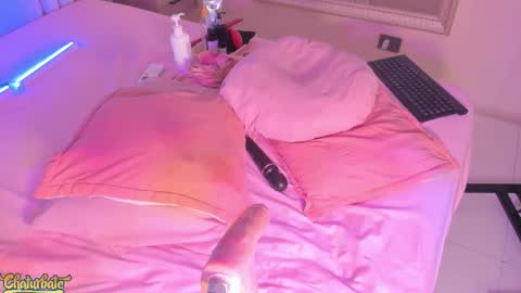 Snapshot of saekohofman chatting on November 15, 6:11 am Mara online show from November 15, 6:11 am