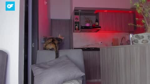 Snapshot of sag_1998 chatting on January 21, 1:50 am Sag online show from January 21, 1:50 am