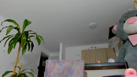 Sara  online show from December 7, 8:55 am