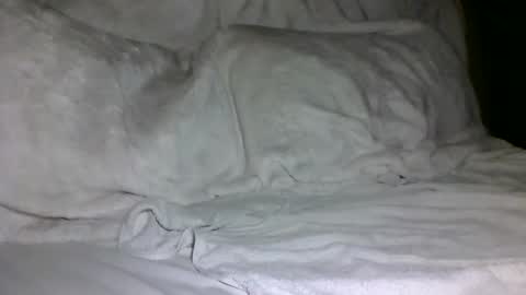 Snapshot of saintd17 chatting on February 5, 1:44 pm SD17 online show from February 5, 1:44 pm