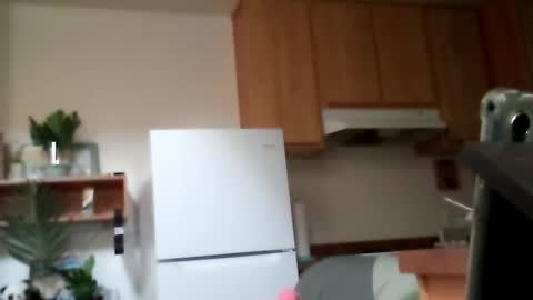 salis1981 online show from October 13, 9:15 pm