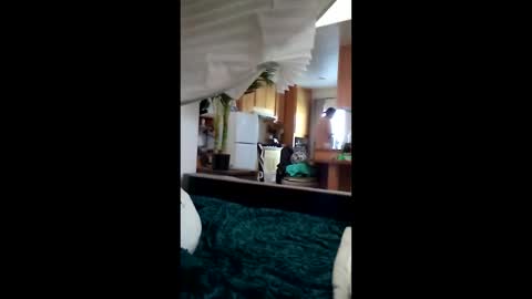 salis1981 online show from March 12, 6:58 pm