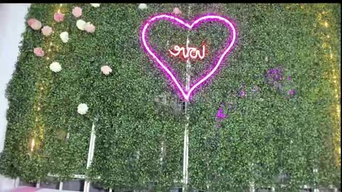 Snapshot of salome_domi chatting on January 25, 10:50 pm salome online show from January 25, 10:50 pm