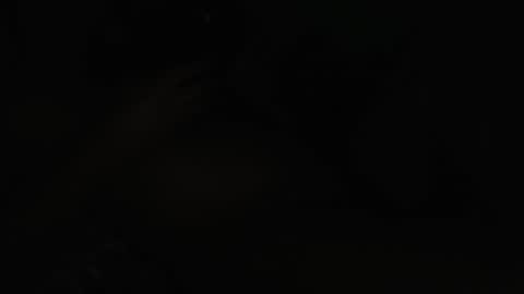 maria online show from March 9, 12:53 pm