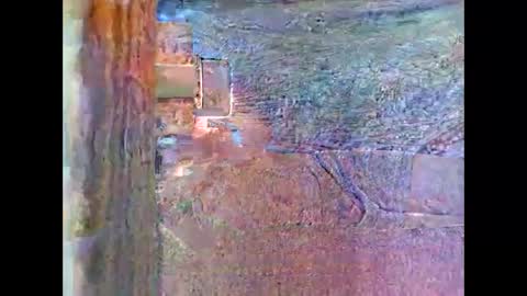 Snapshot of sam5554401727 chatting on April 26, 8:28 pm sam5554401727 online show from April 26, 8:28 pm
